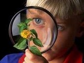 郑州试管婴儿多少钱？试管婴儿的费用是多少？