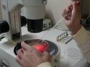 药店特别便宜的补气血药分享，一盒几块钱价低又有效