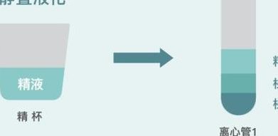 如何选择国内医科大学附属盛京医院的好试管婴儿医生？