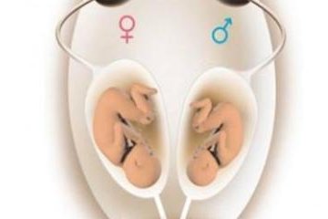 3代试管移植3bb囊胚成功率和女性年龄的对比？